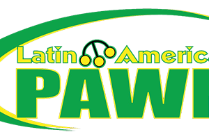 Latin American Pawn